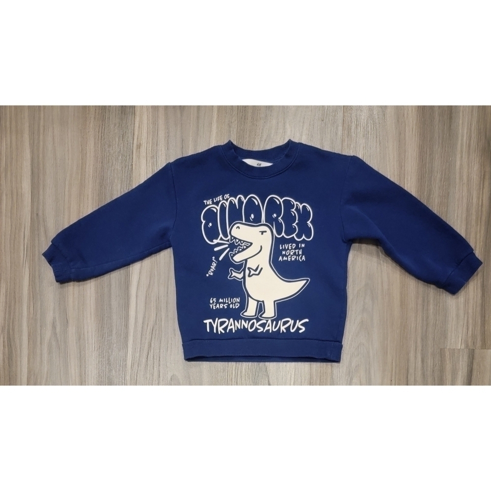 H&M Dinosaur Sweatshirt Navy Size 3-4T